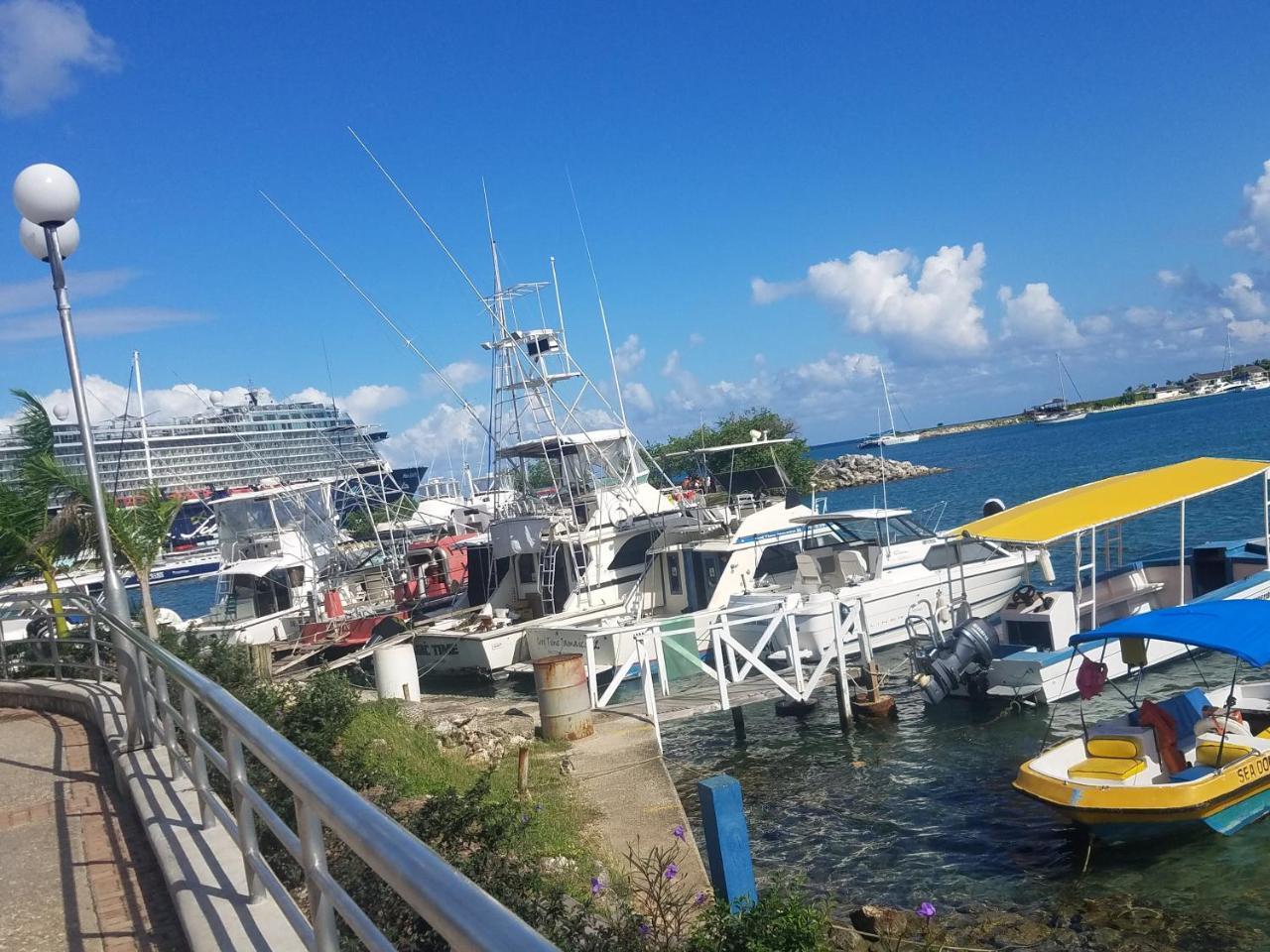 Rosi Ocean Sand Hotel Apt Ocho Rios Eksteriør billede